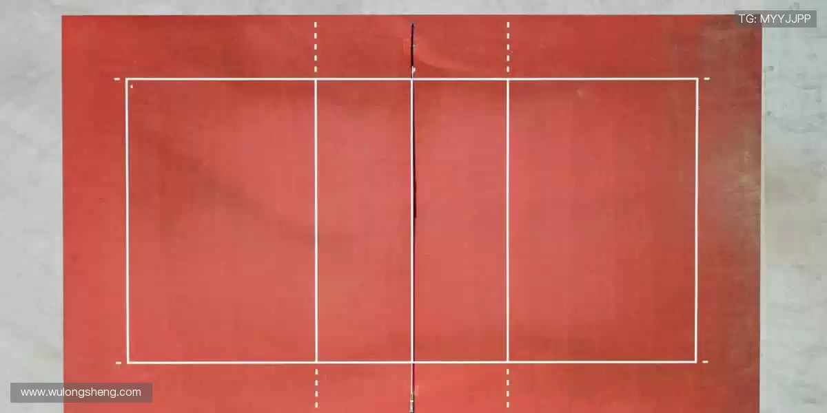 随时随地,直击赛场!📱🎯